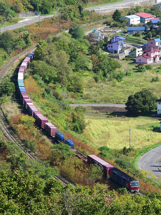 r2025.10.03-da249.jpg