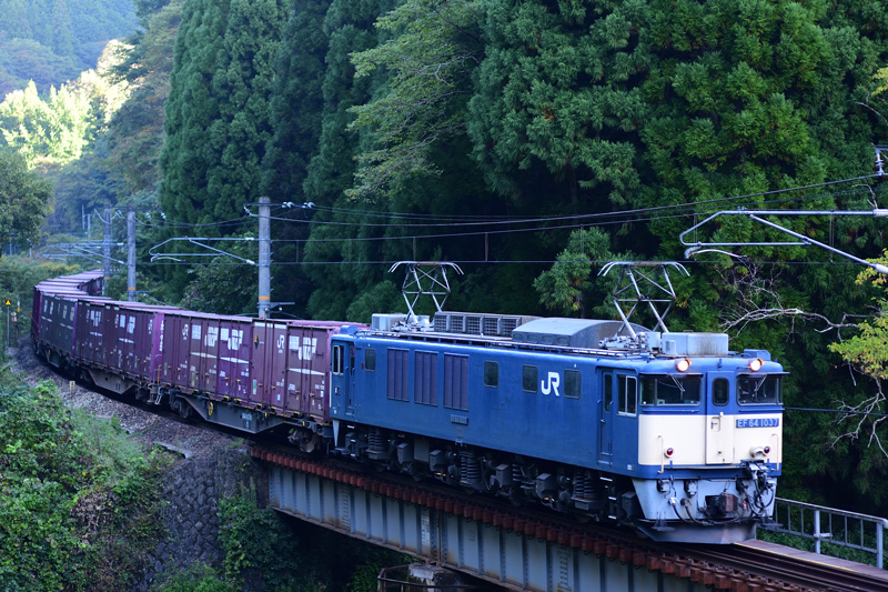 r2025.10.10-d6031.jpg