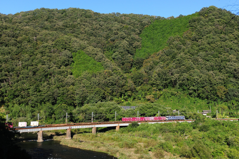 r2025.10.10-d6112.jpg