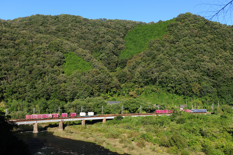 r2025.10.10-d6114.jpg