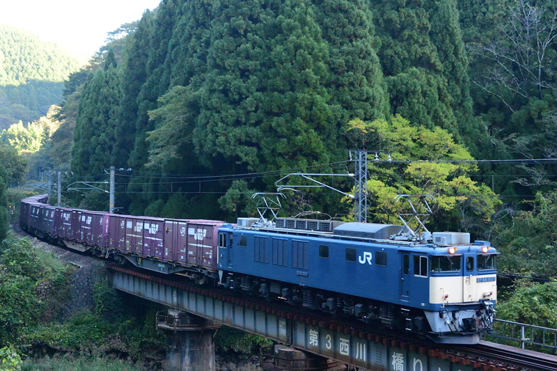 r2025.10.10-d9051.jpg