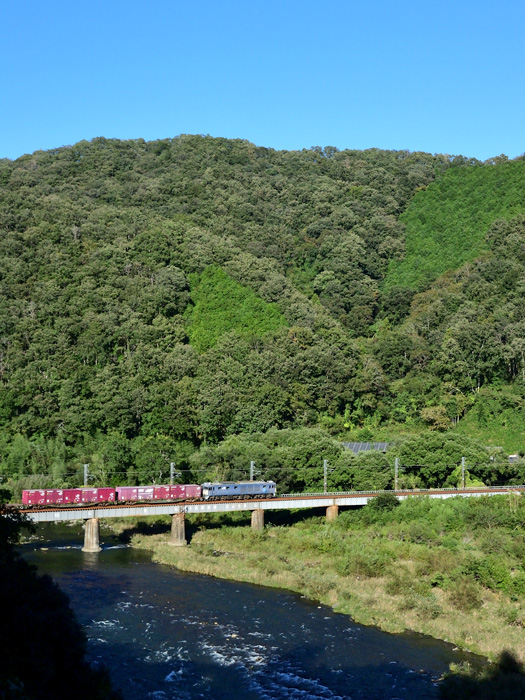 r2025.10.10-d9124.jpg