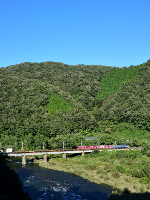 r2025.10.10-d9149.jpg