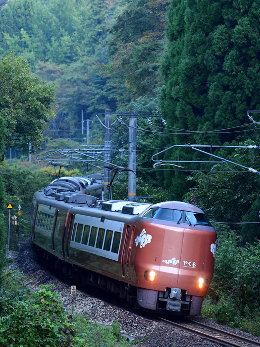 r2025.10.10-da006.jpg