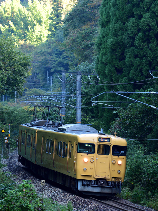 r2025.10.10-da012.jpg