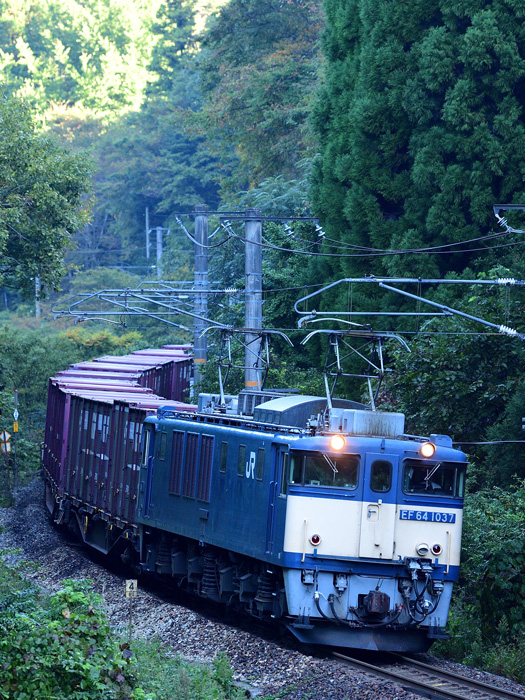 r2025.10.10-da052.jpg