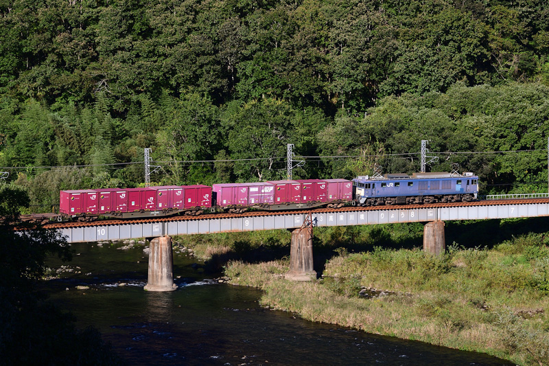 r2025.10.10-da204.jpg