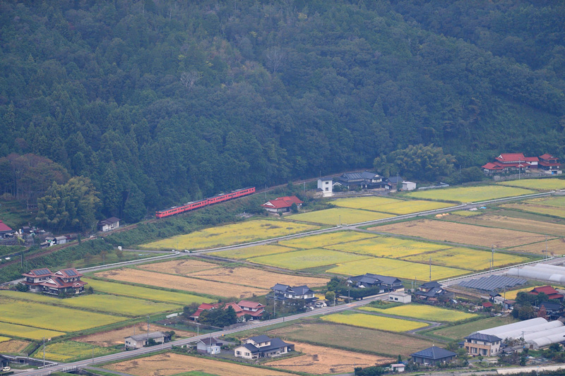 r2025.10.11-da176.jpg