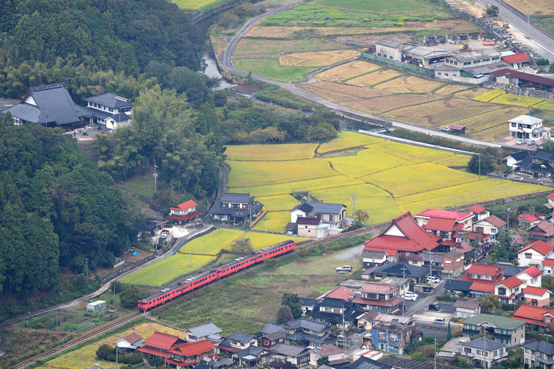 r2025.10.11-da233.jpg