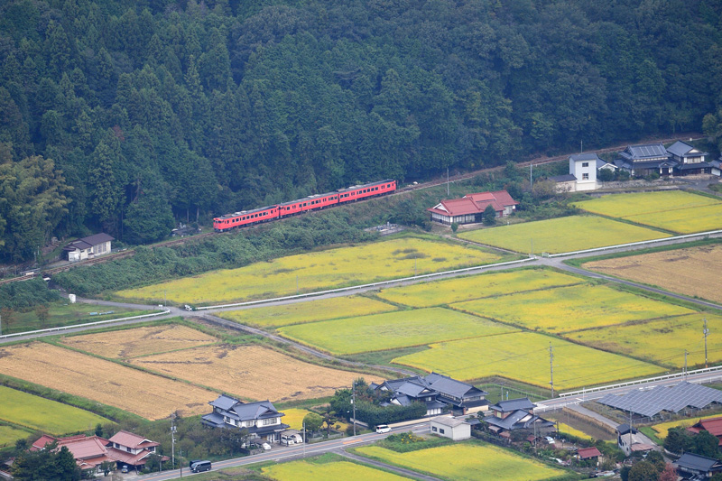 r2025.10.11-da268.jpg