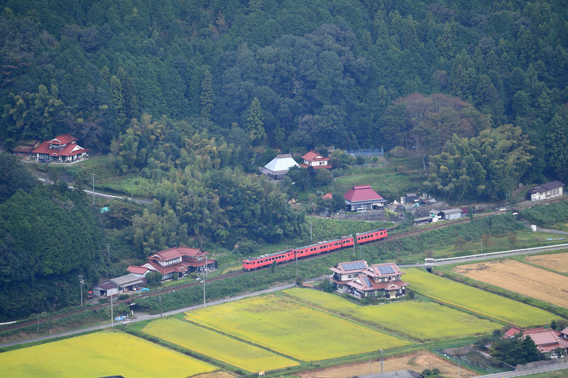 r2025.10.11-da292.jpg