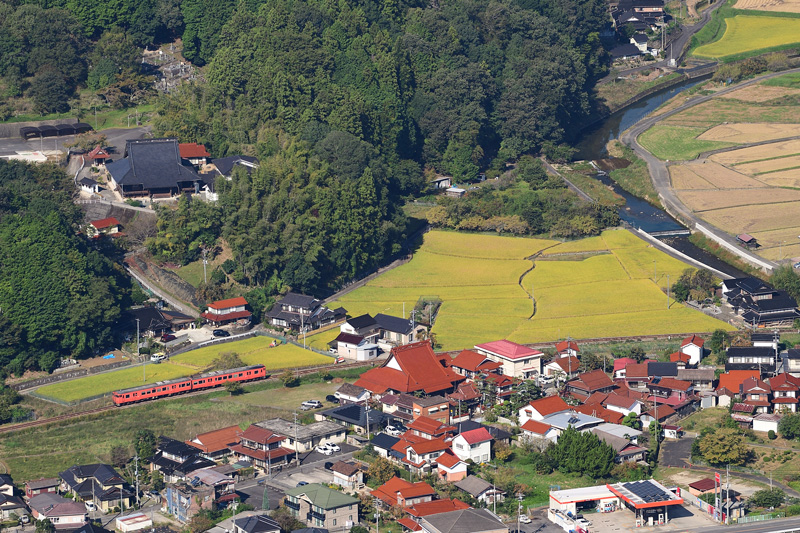 r2025.10.11-da334.jpg