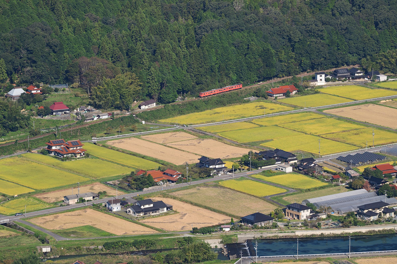 r2025.10.11-da412.jpg