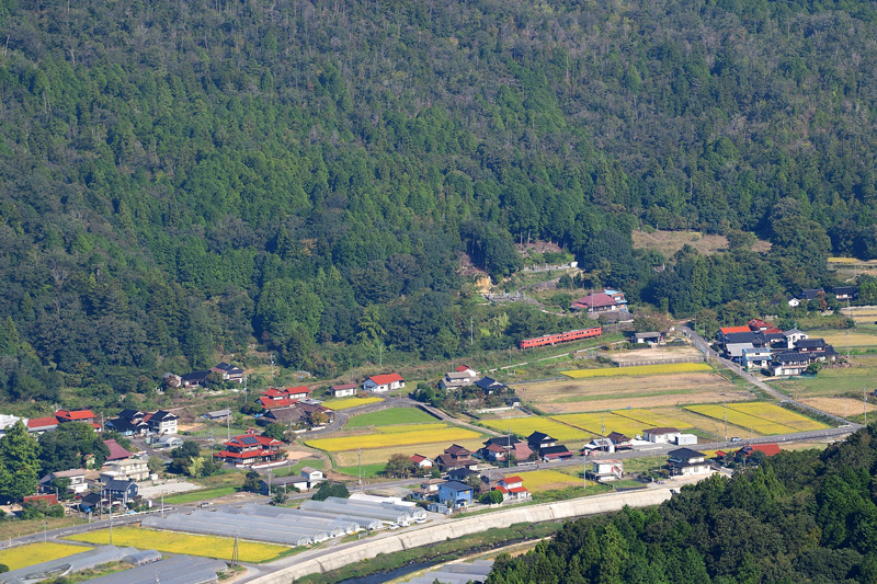 r2025.10.11-da442.jpg