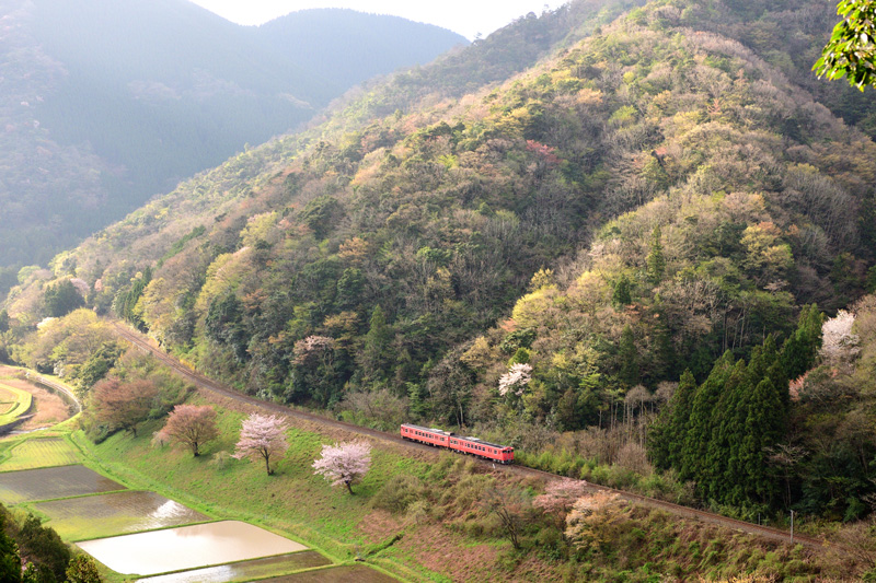 r2026.04.11-d6054.jpg