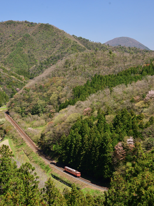 r2026.04.11-d6208.jpg