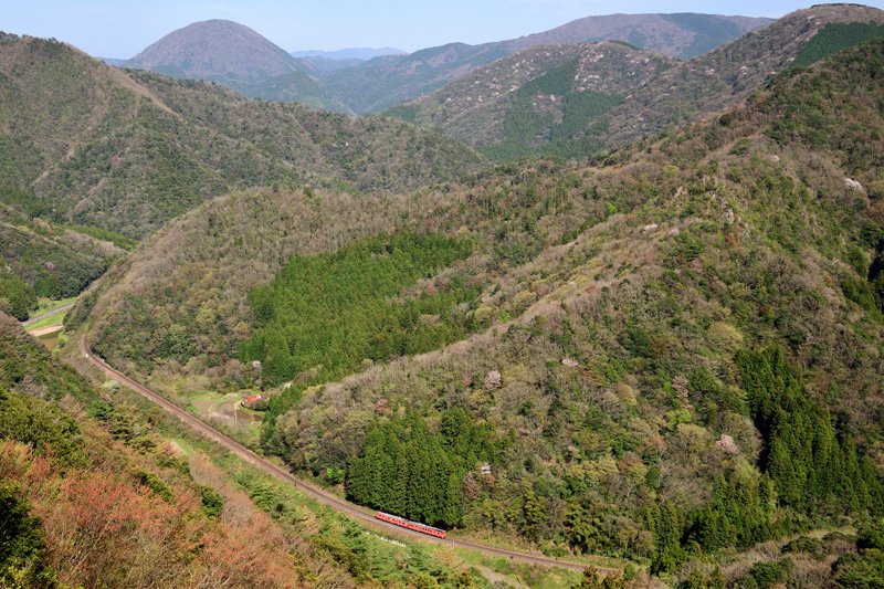 r2026.04.11-d6216.jpg