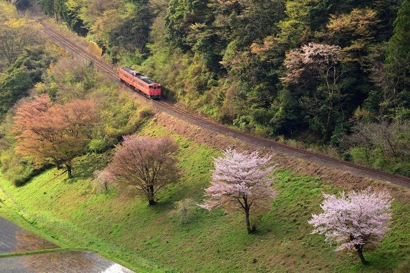 r2026.04.11-da074.jpg