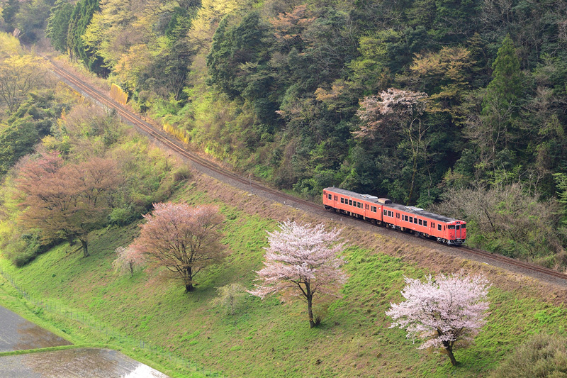 r2026.04.11-da108.jpg