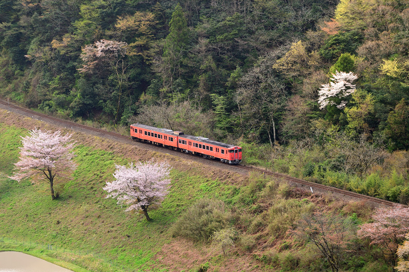 r2026.04.11-da116.jpg
