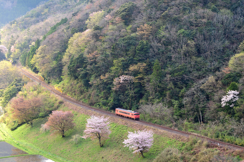 r2026.04.11-da153.jpg