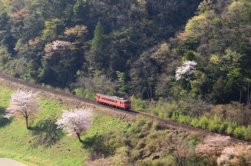 r2026.04.11-da208.jpg