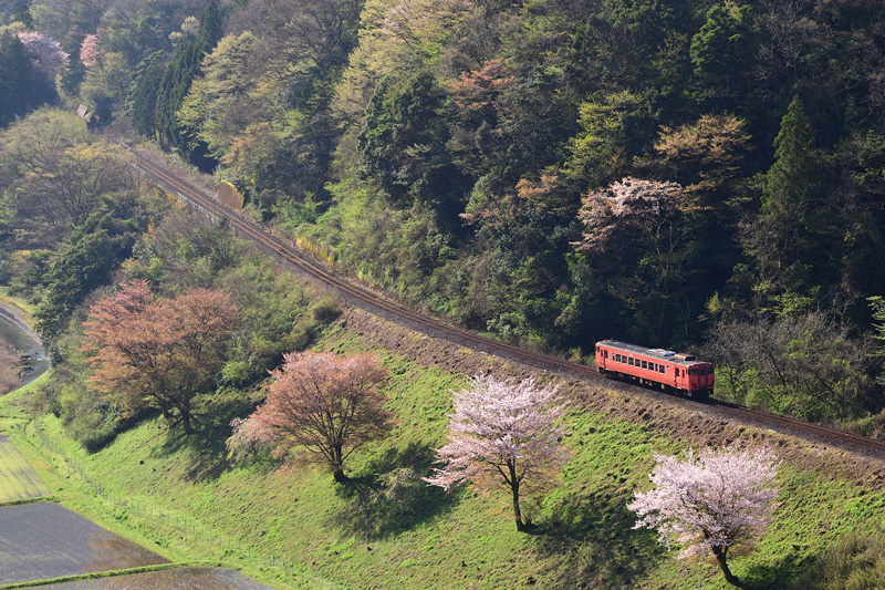 r2026.04.11-da217.jpg