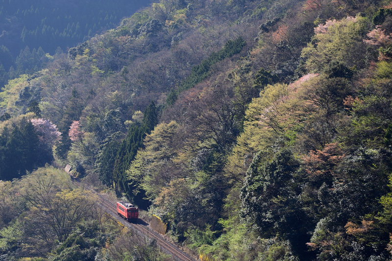 r2026.04.11-da270.jpg