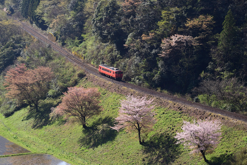 r2026.04.11-da294.jpg