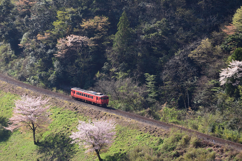 r2026.04.11-da314.jpg
