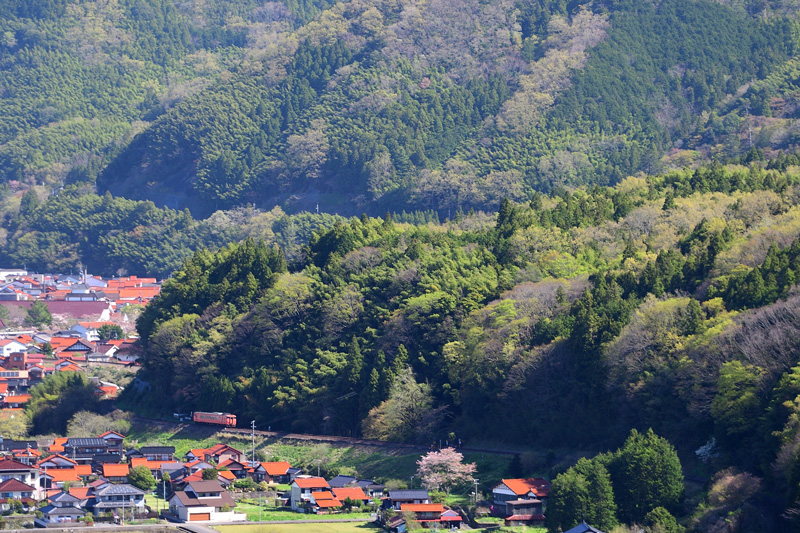 r2026.04.11-da355.jpg