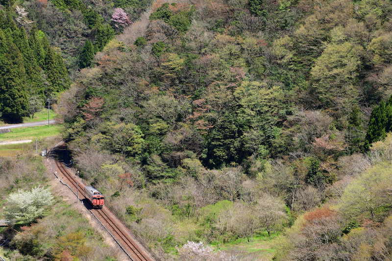 r2026.04.11-da393.jpg