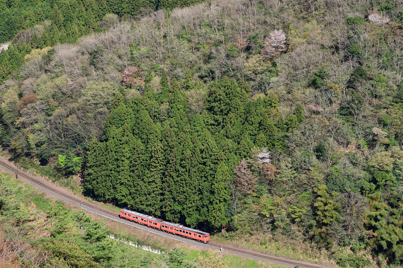 r2026.04.11-da504.jpg