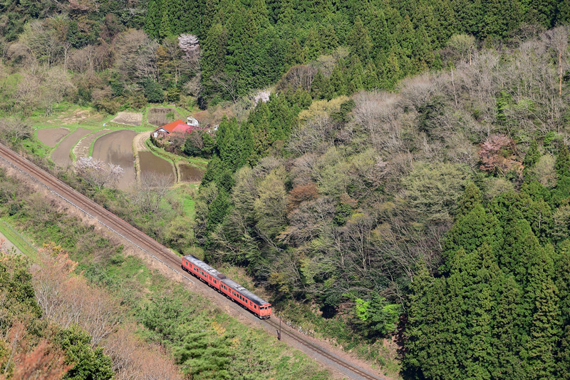 r2026.04.11-da539.jpg