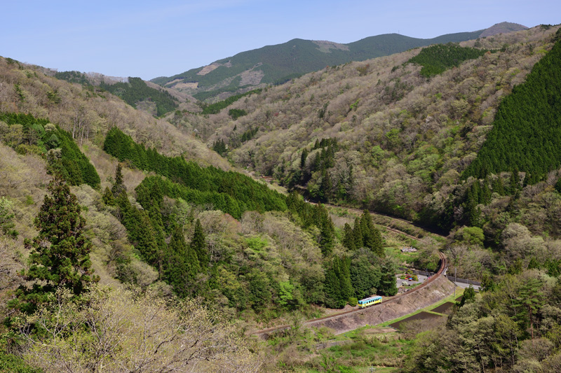 r2026.04.21-d6188.jpg