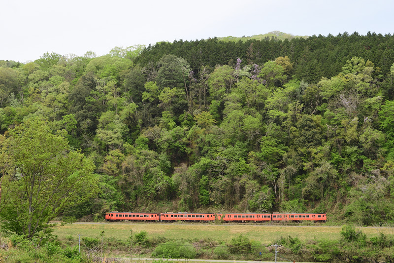 r2026.04.21-da114.jpg