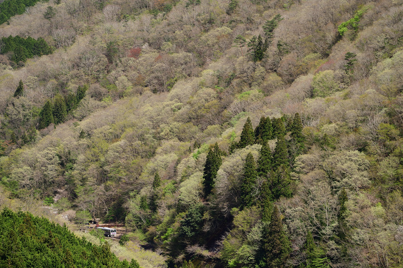 r2026.04.21-da244.jpg