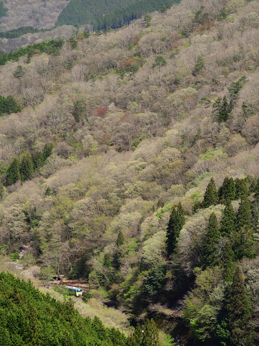 r2026.04.21-da284.jpg