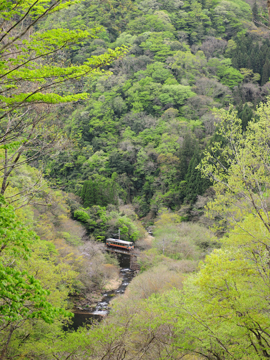 r2026.04.22-d6046.jpg