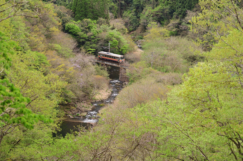 r2026.04.22-da075.jpg