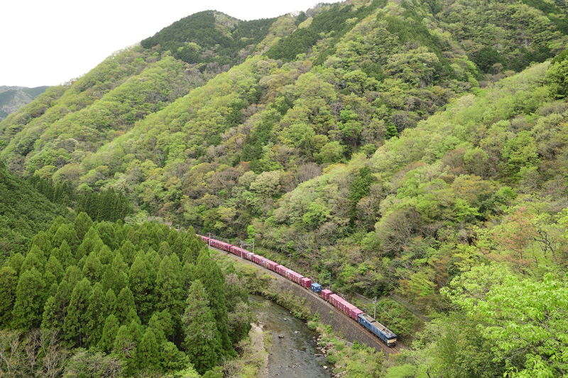 r2026.04.22-da142.jpg