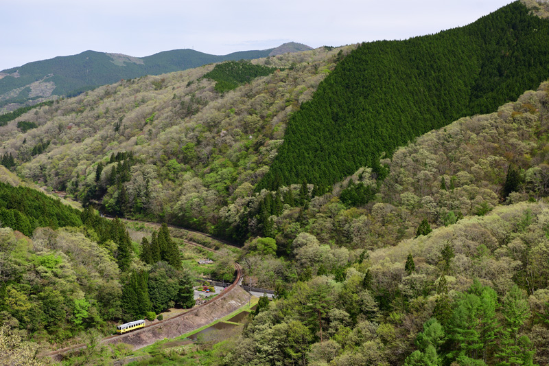 r2026.04.24-d6056.jpg