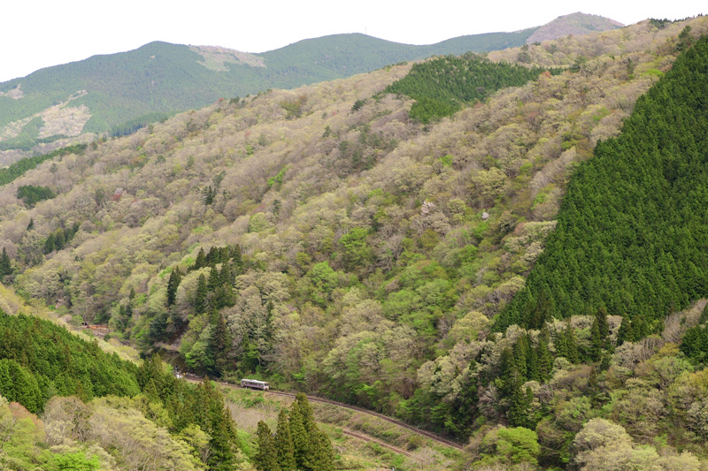 r2026.04.24-d6078.jpg