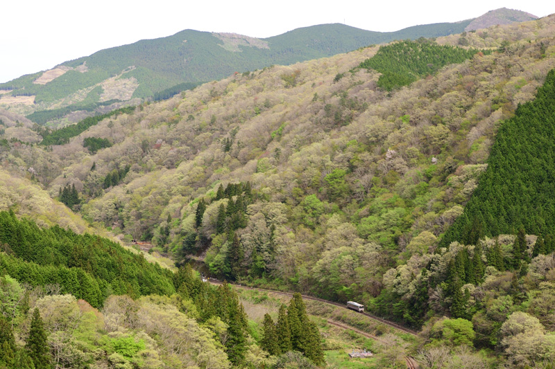 r2026.04.24-d6089a.jpg