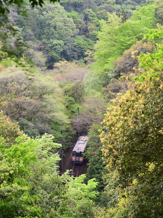 r2026.04.24-da006.jpg