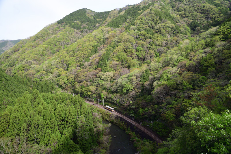 r2026.04.24-da032.jpg