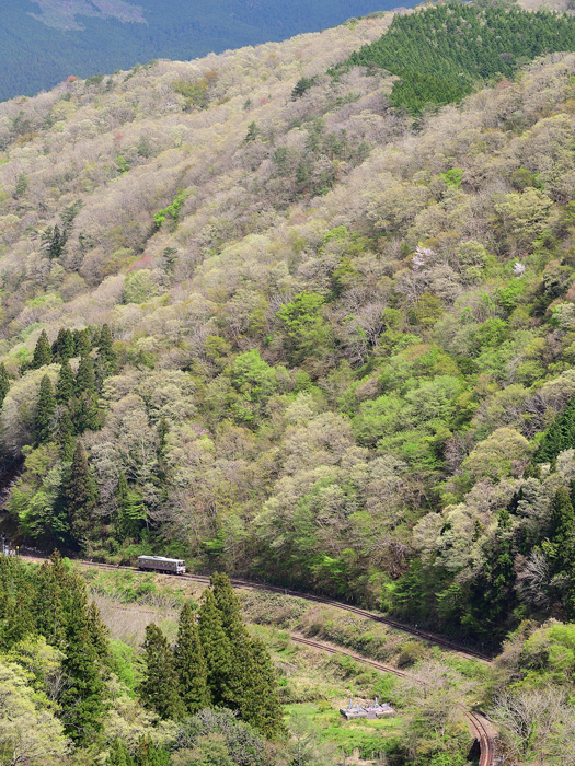 r2026.04.24-da133.jpg