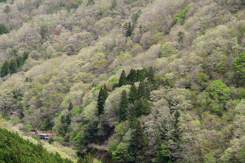r2026.04.24-da202.jpg