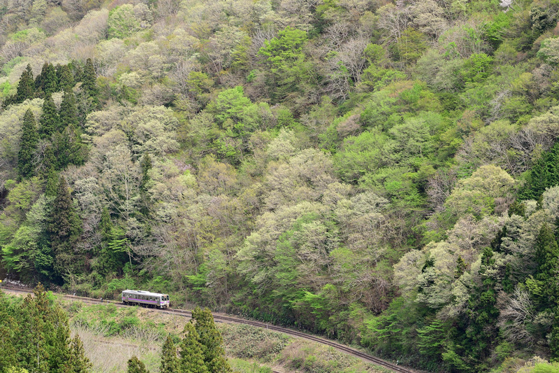 r2026.04.24-da222.jpg