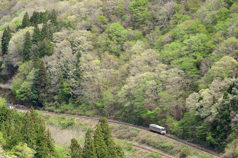 r2026.04.24-da238.jpg